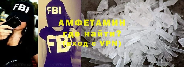 прущие грибы Белокуриха