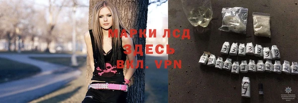 прущие грибы Белокуриха