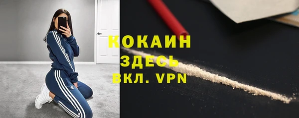 прущие грибы Белокуриха