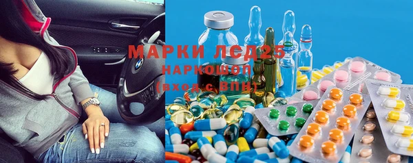 прущие грибы Белокуриха
