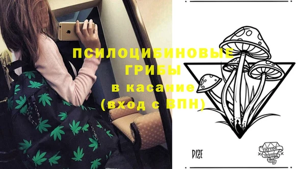 метадон Беломорск