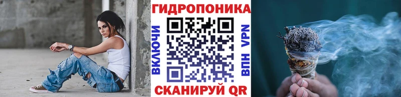 продажа наркотиков  Александровское  Шишки марихуана гибрид 